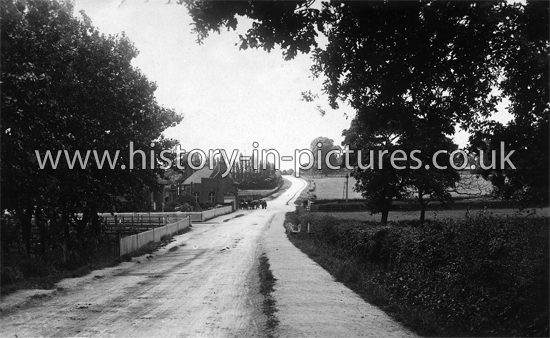 Grange Hill & Station, Chigwell. Essex. c.1912